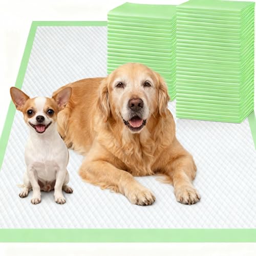 Image of Gimars XL 6-Layer Ultra Absorbent 1200ml 48-Hour Leak-Proof Dog Pee Pads, Quick Dry Extra Large Puppy Pads for Puppy Training, Senior & Incontinent Dogs, Cats, Overnight Use, 30 inchx36 inch, 30 Count Green