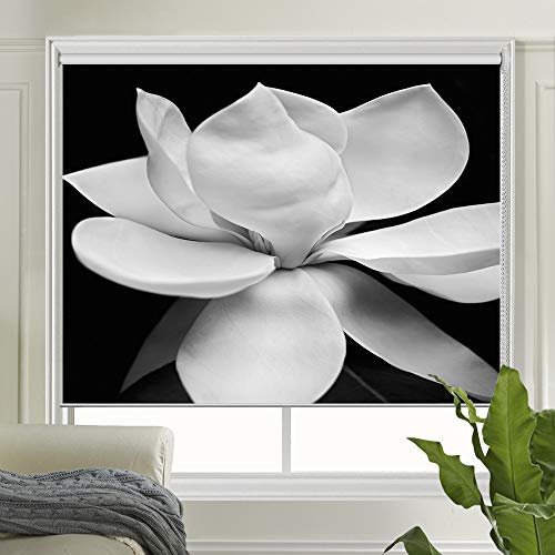 LETAU Blackout Window Shades Blinds, Printed UV Protection Roller Shades Blinds for Home, Door, Hotel, Restaurant
