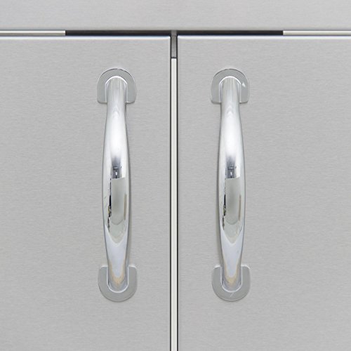 Blaze Grills Double Access Door with Paper Towel Dispenser Size: 40