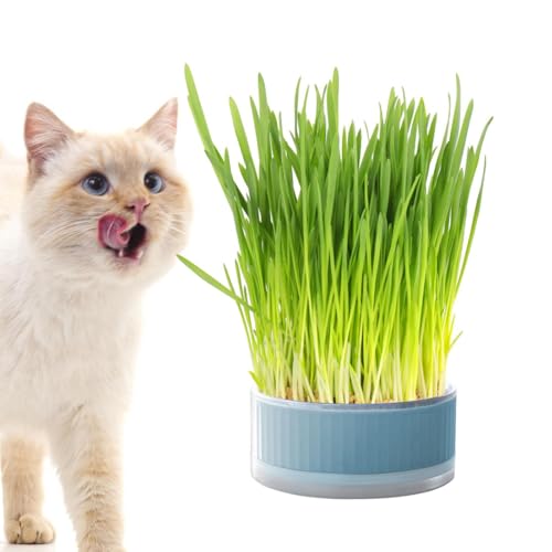 Genérico Cat Grass Box - Planting Box No Soil Catnip Planter, Hydroponic Grass Planter, No Soil Graass Aid Digestion, Outdoor Cat Grrass Boxs, for Home and Household