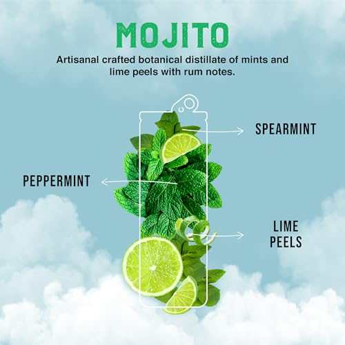 CLEVER - Mojito, Nonalcoholic Mocktails for Any Occasion, Sugar-Free Beverages with Botanical Extracts, Low-Calorie Mocktails Non-alcoholic Drinks with 70 Calories, Pack of 12 (12 oz Ea)