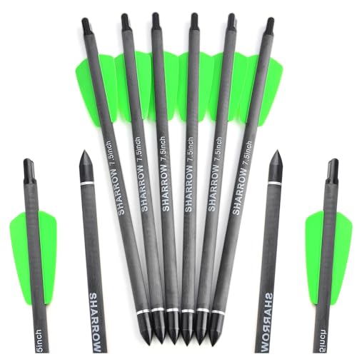 Flèches de tir à l'arc en carbone spine 400 mixtes avec pointes remplaçables