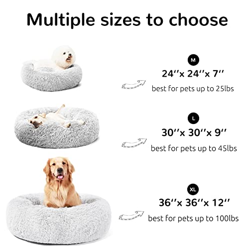 The 30 Best Bulldog Dog Beds of 2024 [Verified] Cherry Picks