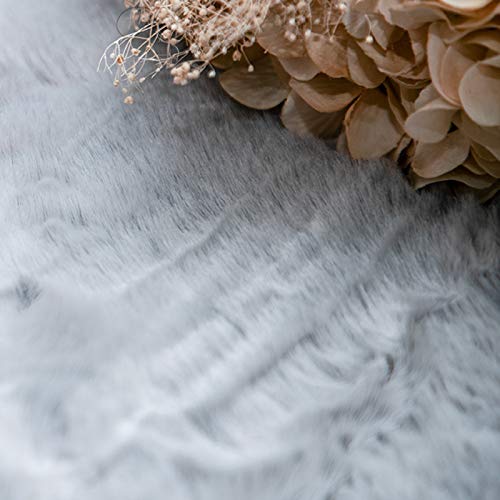 Ultra Soft Faux Rabbit Fur Area Rugs For Living Room Couch Pad Fuzzy Area Rug Fluffy Bedside Carpet Mat For Bedroom Floor Sofa Living Room Rugs 2 X 6 Ft,Grey Rug #TOP3
