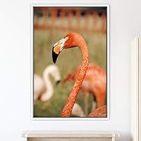 Framed Canvas Wall Art Single Bird Birds Expressive Farmhouse/Country Multicolor Photography Portrait Single - 16x24 inches