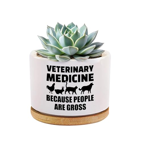 Veterinary Medicine Because People Are Gross Veterinarian Gifts Ceramic Succulent Plant Pot with Bamboo Tray Round Gift To Vet Animal Doctor Pet Lover Home Decor Plant Lover 3.5 Inch White (No Plants)