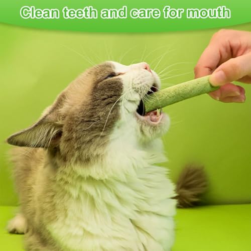 OSDUE 24 Stück Katzengras Snack, Cat Grass Teething Stick, Katzengras Sticks Gefriergetrocknet Snacks für Katzen, Katzenminze, Beißstab aus katzengras, für die Zahnpflege und Haarknäuel Entfernen
