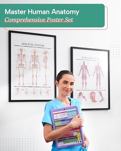 Tribe RN Human Anatomy Posters - Set of 12 Vibrant, Laminated Wall Charts for Classroom, Office, Clinic, & Med School - Detailed 13 Body Systems Illustrations