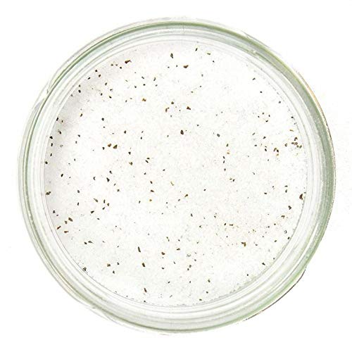 Pebeyre Truffle Salt Collection (Summer Truffle, 7oz)