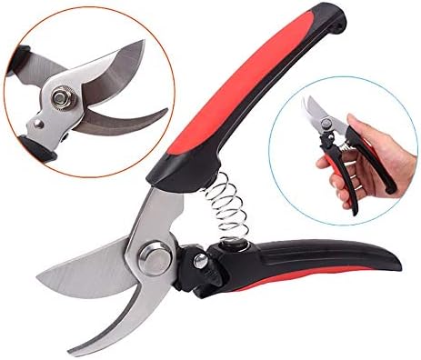 Pruner Pruning Shear Tree Ratchet Grafting Cutter Shears Garden Lopper Bonsai Tools Professional Hand Secateur Non-Slip Scissor for
