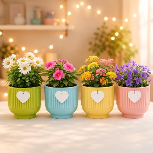 Xtore® Charming Pastel Ceramic Planter Set of 4 with Hanging Hear...