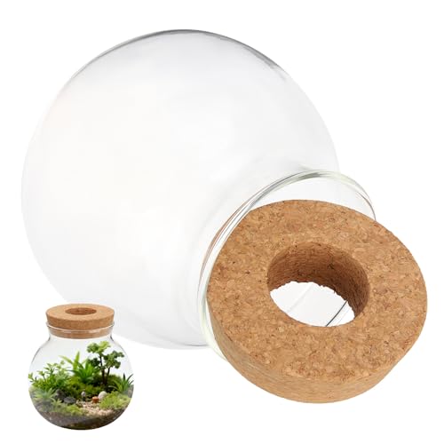 Homoyoyo Terrarium en Verre Rond pour Plantes Hydroponiques Bouchon en Liège – Vase Décoratif Transparent pour Propagation Jardinage Intérieur Bureau et Maison – Pot en Verre pour Fleurs