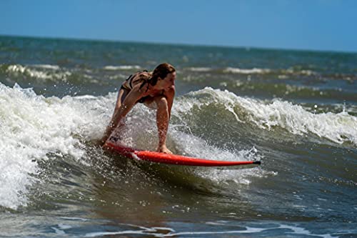 Boardworks Froth! | Soft Top Surfboard | 3 Fins | Longboard Surf Board | 8\' | Sky