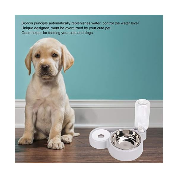 Double Dog Bowl 2 in 1 Automatic Pet Food and Water Dispenser Stainless Steel Cat Dog Feeder Spill Proof Pet Drinking Fountain (Gray) Double Dog Bowl 2 in 1 Automatic Pet Food and Water Dispenser Stainless Steel Cat Dog Feeder Spill Proof Pet Drinking Fountain (Gray)