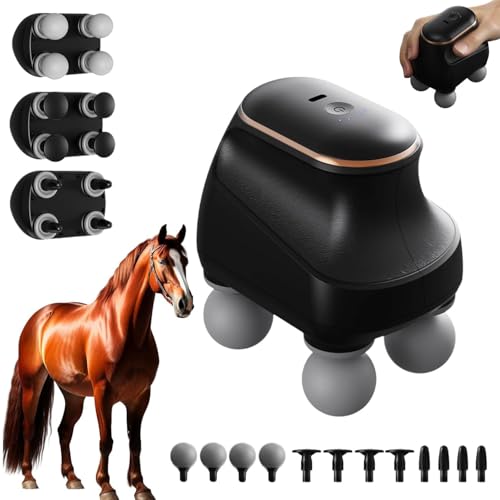 Chevaroo 4 Heads Massager, Chevaroo Horse Massager, 4-Kopf Massagepistole mit 12 Massageköpfen und 5 Geschwindigkeiten, Tragbar Wiederaufladbar Tiefenmassagegerät für Muskel Entspannung (Schwarz) Chevaroo 4 Heads Massager, Chevaroo Horse Massager, 4-Kopf Massagepistole mit 12 Massageköpfen und 5 Geschwindigkeiten, Tragbar Wiederaufladbar Tiefenmassagegerät für Muskel Entspannung (Schwarz)