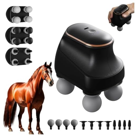 Chevaroo 4 Heads Massager, Chevaroo Horse Massager, 4-Kopf Massagepistole mit 12 Massageköpfen und 5 Geschwindigkeiten, Tragbar Wiederaufladbar Tiefenmassagegerät für Muskel Entspannung (Schwarz)