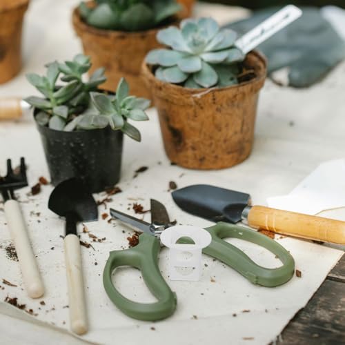 Cestas hidropónicas de plástico con ranuras de ventilación para cubos de cultivo WOONEKY 8