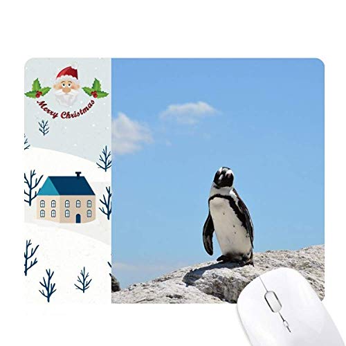 ɂ̃yM̊CmȊw͎R̎ʐ^ T^N[XƉS̃}EXpbh