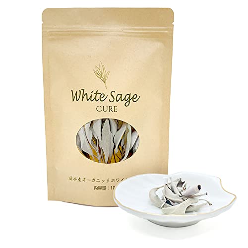 {YzCgZ[W 10g 򉻃Zbg Lk 򉻎M M VF^ p[Xg[  A}