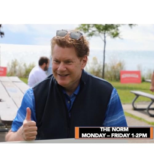 『The Norm』のカバーアート