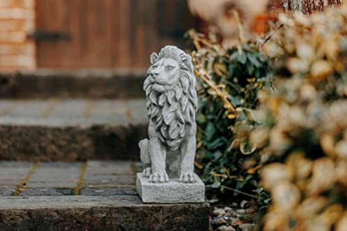 Offerta Speciale: Solido Stein Löwen Paio Piccola