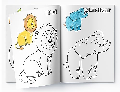 Image of Preschool Activity Book: Coloring - Crayon Fun Activity Book for Kids Ages 3-5 | Big Pictures to Color, Shapes, Animals & More | Boost Creativity & Fine Motor Skills | 2+ Hours of Coloring Fun