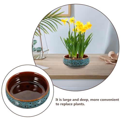 Pot hydroponique céramique jardinière intérieure nénuphars