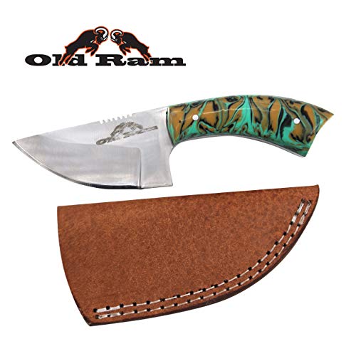 Old Ram Collection Heavy Duty Fixed Blade Hunting Skinner Knife w/Leather Sheath (GP)