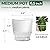 T4U 6 Inch Self Watering Pots for Indoor Plants, 4 Pack Self Watering Planter, Self Watering Pot with Reservoir, Clear Self Watering Pots for Indoor Plants, African Violets (4 Pack, 6", Clear)