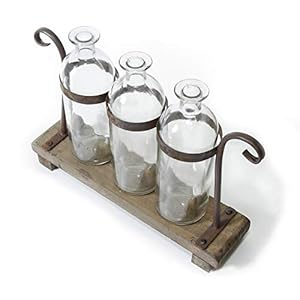 Rustic Flower Vase Set with Rack Stand Farmhouse Glass Bottles for Decor Table centerpieces