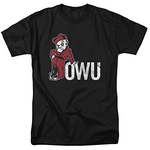 Ohio Wesleyan University Official Distressed, Ohio Wesleyan University, L
