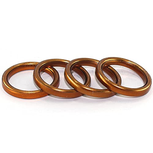 GZWO Accessori di Scarico Moto. for SRX 400