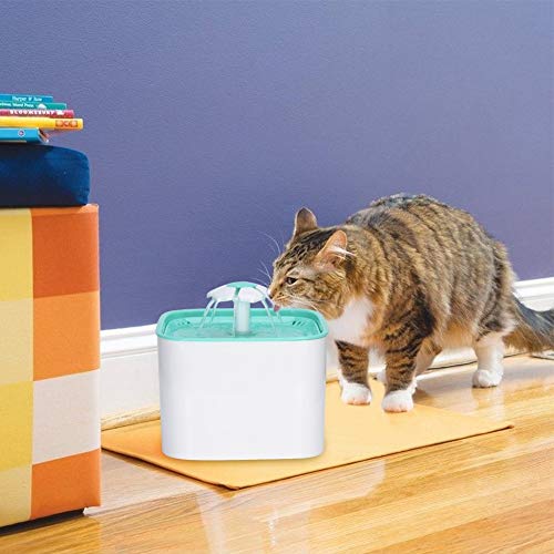 Filtri per Fontana Gatti Filtro Carboni Attivi