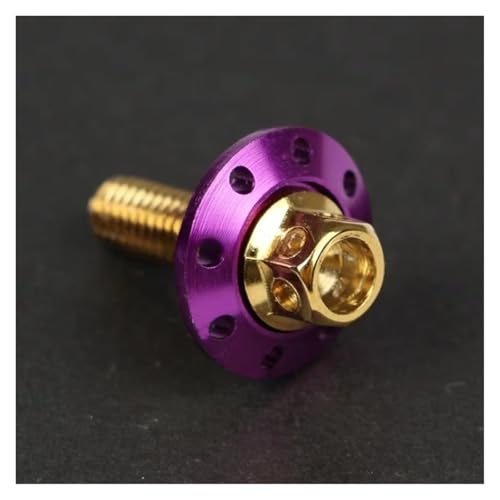 電動バイク用ネジ 304ステンレススチール カラフル M6 外六角フランジキャップ(Lavender)