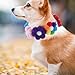Ipetboom Adjustable Dog Collar with Flower Design Stylish Pet Neck Tie for Small Dogs and Cats Decorative Grooming Accessory Fits Most Small Breeds