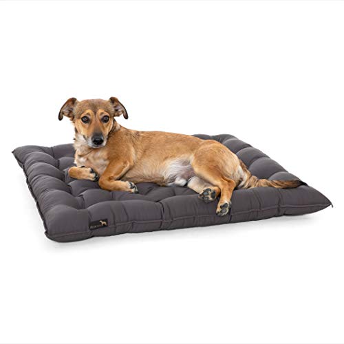 Pointer - Hundekissen Urban, waschbar EBI 95°C, langlebid, Made in Germany
