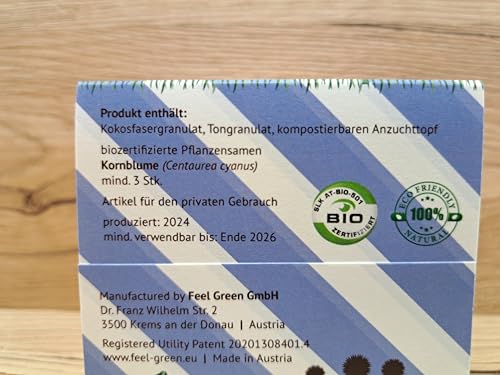 Feel Green 296695 Celebrations Ecocube, Kornblume Bio Samen, Holzwürfel Mit Lasergravur «Zeit Um Einmal Danke Zu Sagen», Nachhaltige Geschenkidee, Anzuchtset, Made in Austria