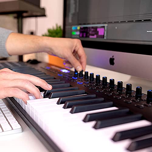 Midi Controller Bundle | 49 Key Usb Midi Keyboard Controller With 16 Beat Pads, Sustain Pedal And Pro Software Suite – Alesis Vi49 + M-Audio Sp-2 #TOP3