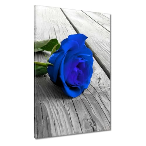 Tableau sur toile rose bleue 60x90cm décoration murale premium pour intérieur chic H1046Y