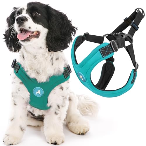 Gooby Escape Free Sport Harness - Turquoise, Large - No Choke Step-in Patented Neoprene Small Dog Harness, Four-Point Adjustment - Perfect on The Go Dog Harness for Medium Dogs No Pull and Small Dogs