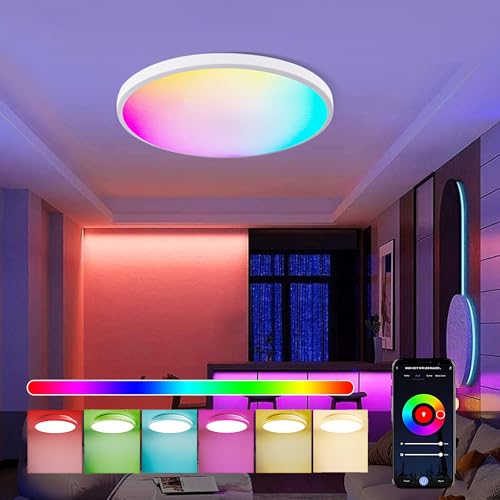 Led Ceiling Lamp Dimmable with Remote Control, 24W 16 Million RGB...