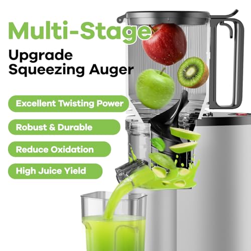 Cold Press Juicer Pros and Cons