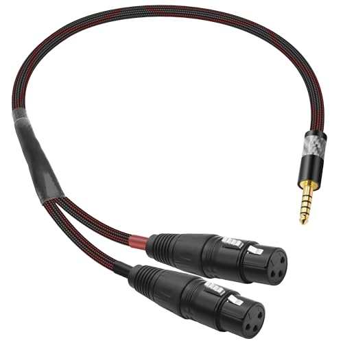 Câble répartiteur audio 4.4mm vers double XLR femelle pour ampli PHA2A 0.5m