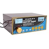 Luocute Chargeur de Batterie Automatique, Compatible avec Les Chargeurs 12 V et 24 V Standard, AGM Start Stop, Gel, SLA et Wet. Convient aux Environnements Froids, Basse (Prise UE)