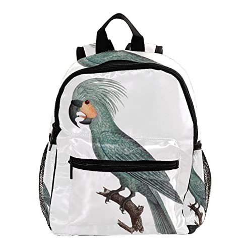 Sac à dos perroquet blanc pour la rentrée en maternelle
