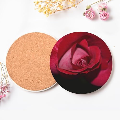 Sous-verre ronds en céramique lot de 6 dessous de verre floral vert et rose