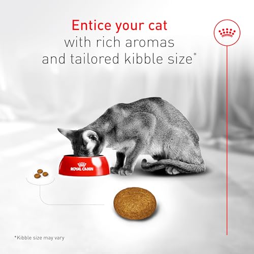 Royal Canin Fussy Dry Cat Food for Adult Cats, Protein-Rich Kibbles for Picky Eaters, Poul product