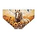 Coloranimal Western Aztec Sunflower Horse Underwear for Women Navajo Ethnic Africa Summer Seamless Hipster Panties for Ladies Full Coverage Elastic Underpants Breathable Briefs XL