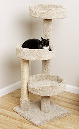 cat tree for 3 cats
