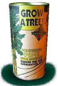 Tree Growing Kit - Ponderosa Pine